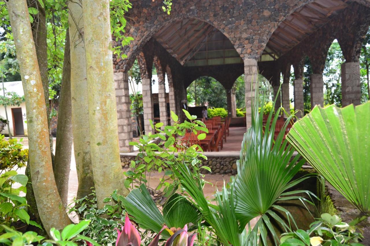 Serene Mountain Lodge Marangu Exterior foto